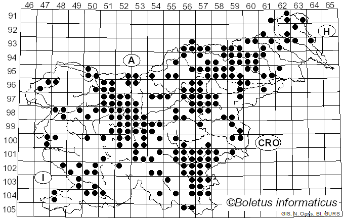 <i>Paxillus involutus</i> (Batsch) Fr. (1838)