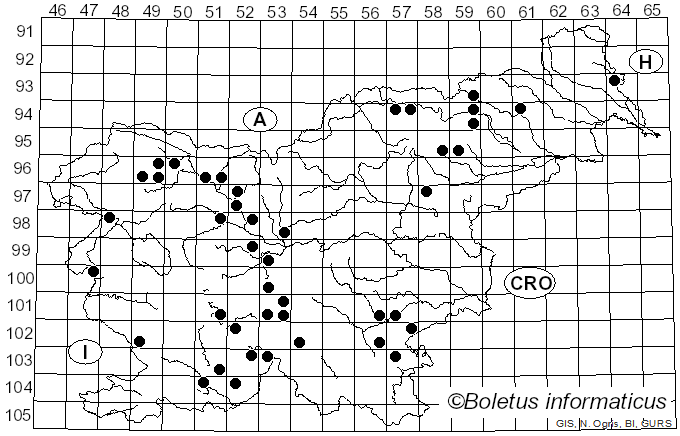 <i>Hygrophorus capreolarius</i> Kalchbr.