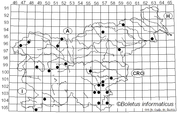 <i>Hypoxylon howeanum</i> Peck (1872)