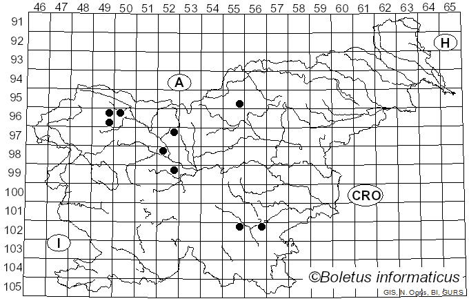 <i>Calocera furcata</i> (Fr.) Fr. (1827)