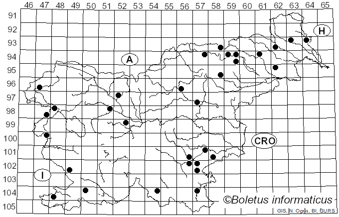 <i>Phlegmacium balteatocumatile</i> (Rob. Henry ex P.D. Orton) Niskanen & Liimat. (2022)
