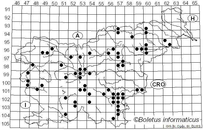 <i>Agrocybe dura</i> (Bolton) Singer (1936)