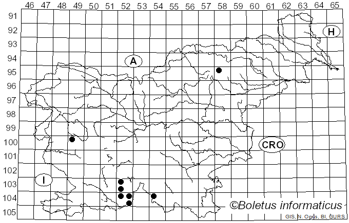 <i>Plectocarpon lichenum</i> (Sommerf.) D. Hawksw. (1984)