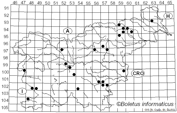 <i>Macrolepiota prominens</i> (Fr.) M.M. Moser (1967)