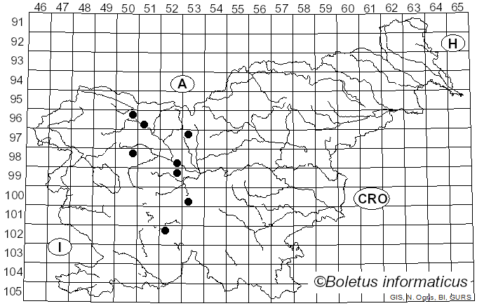 <i>Ustilago segetum</i> (Bull.) Roussel (1817)