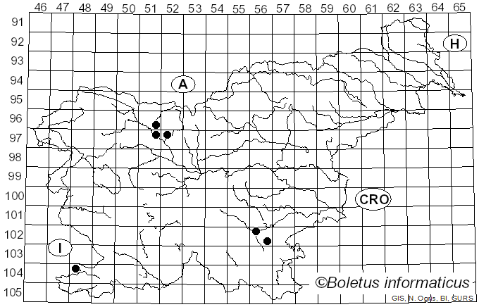 <i>Tricholoma arvernense</i> Bon (1976)