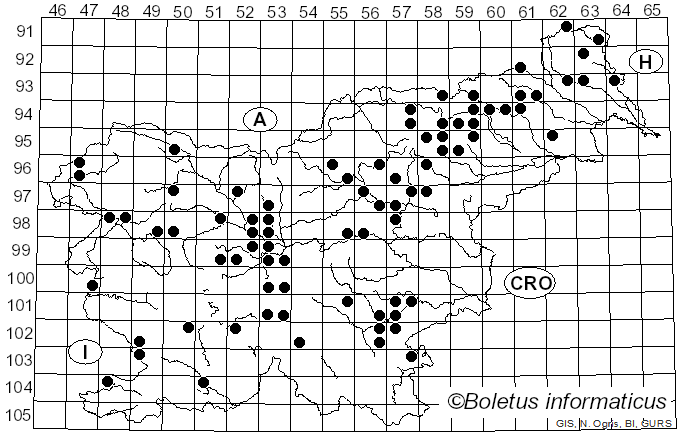<i>Cortinarius alboviolaceus</i> (Pers.) Fr. (1838)