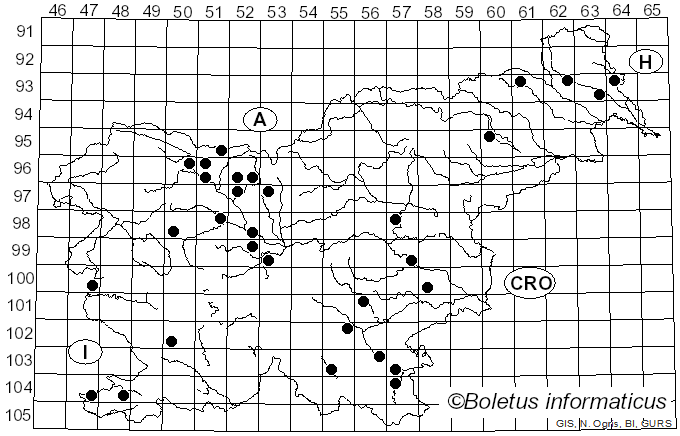 <i>Cronartium</i> Fr. (1815)