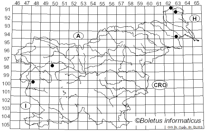 <i>Hypoxylon perforatum</i> (Schwein.) Fr. (1849)