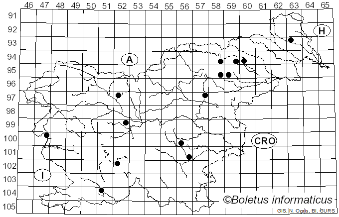 <i>Hebeloma fastibile</i> (Pers.) Quél. (1871)