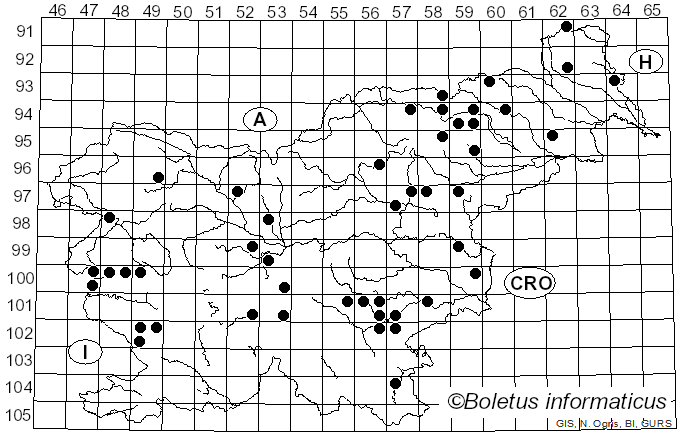 <i>Mycena maculata</i> P. Karst. (1890)