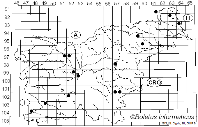 <i>Pseudomerulius aureus</i> (Fr.) Jülich (1979)
