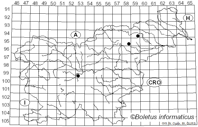 <i>Armillaria nigropunctata</i> Herink (1973)