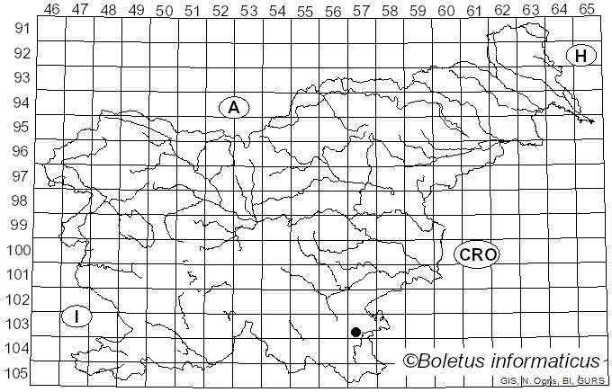 <i>Nemania confluens</i> (Tode) Laessøe & Spooner (1994)