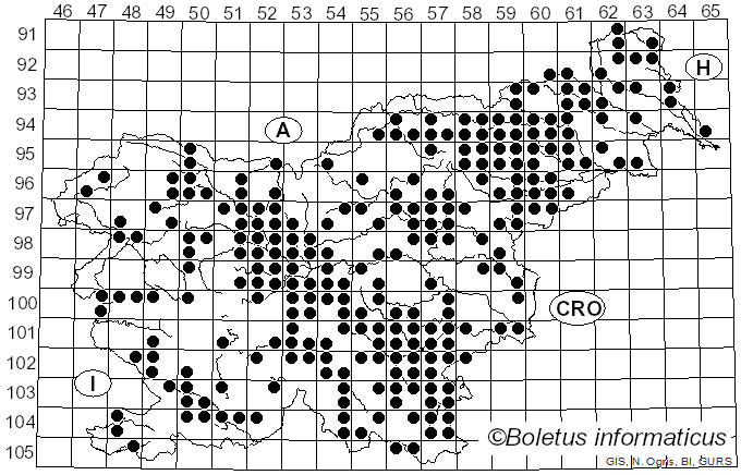 <i>Pluteus cervinus</i> (Schaeff.) P. Kumm. (1871)