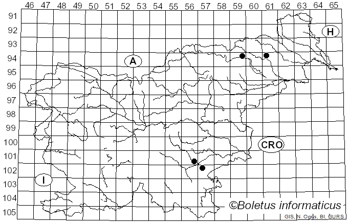 <i>Pluteus brunneoradiatus</i> Bonnard (1987)