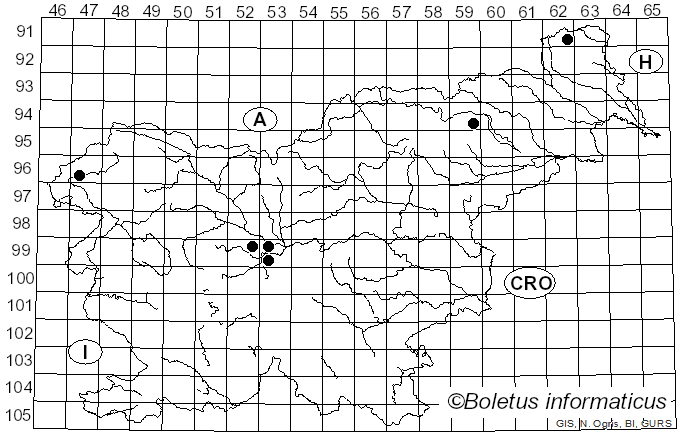 <i>Lepiota cortinarius</i> J.E. Lange (1915)