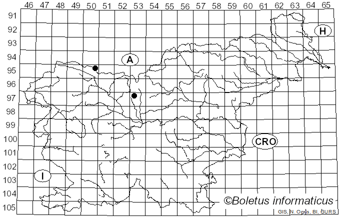 <i>Wettsteinina pachyasca</i> (Niessl) Petr.
