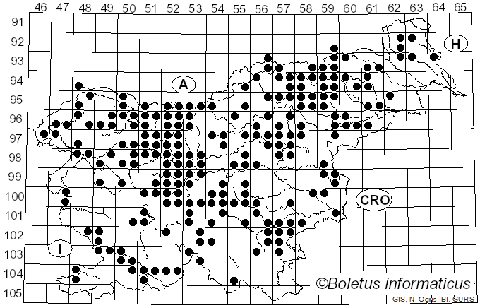 <i>Suillus grevillei</i> (Klotzsch) Singer (1951)