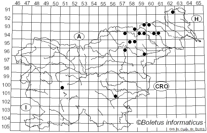 <i>Hydnellum cumulatum</i> K.A. Harrison (1964)