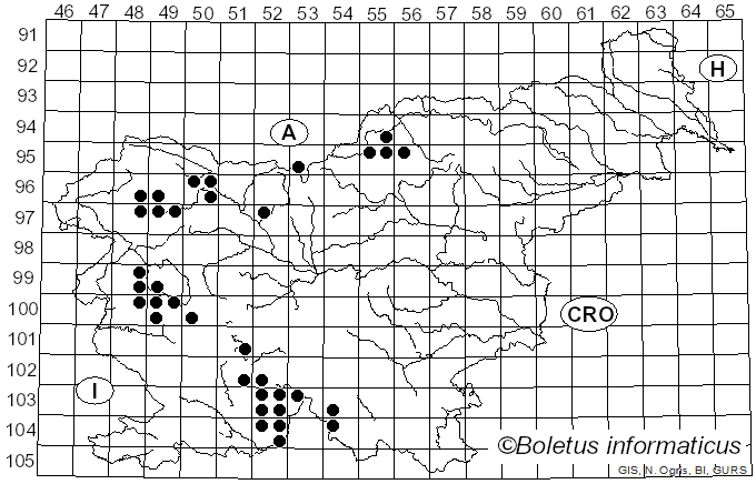 <i>Parmelina</i> Hale (1974)