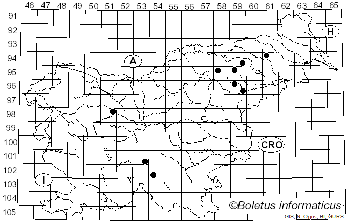<i>Reticularia</i> Bull. (1788)