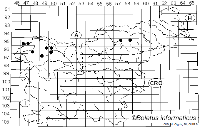 <i>Caloplaca cerinella</i> (Nyl.) Flagey (1896)