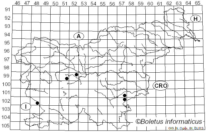 <i>Cortinarius striaepilus</i> J. Favre (1948)