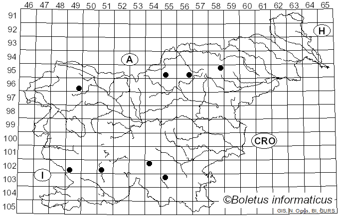 <i>Sirococcus</i> Preuss (1855)
