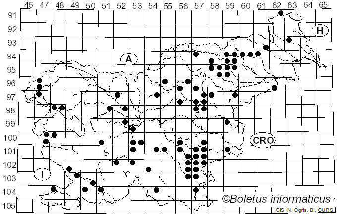 <i>Cortinarius largus</i> Fr. (1838)