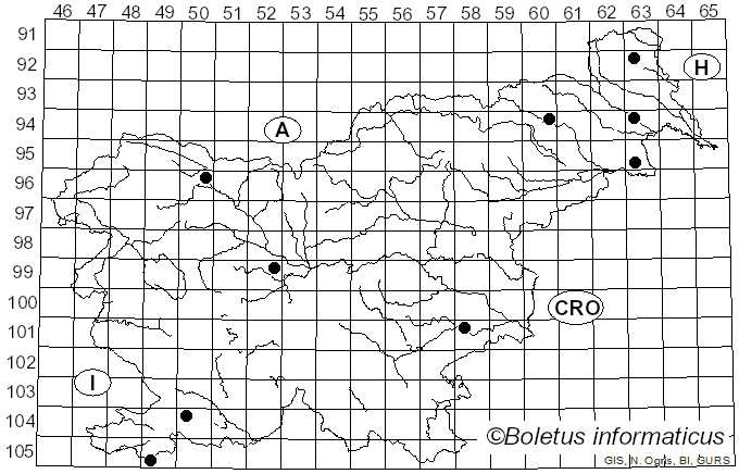 <i>Arachnopeziza</i> Fuckel (1870)
