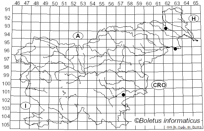 <i>Lophiostoma viridarium</i> Cooke (1868)