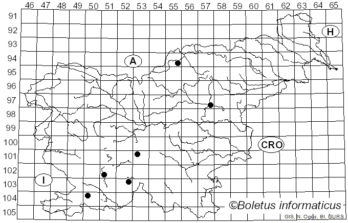 <i>Phomopsis velata</i> (Sacc.) Traverso (1906)