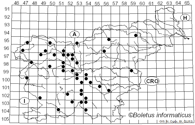 <i>Tricholoma aurantium</i> (Schaeff.) Ricken (1914)