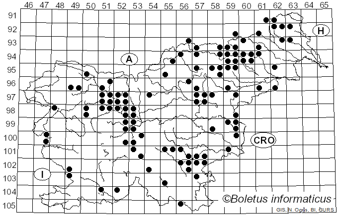 <i>Tricholoma virgatum</i> (Fr.) P. Kumm. (1871)