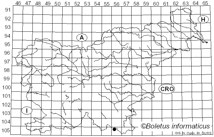 <i>Mycena mirata</i> (Peck) Sacc. (1887)