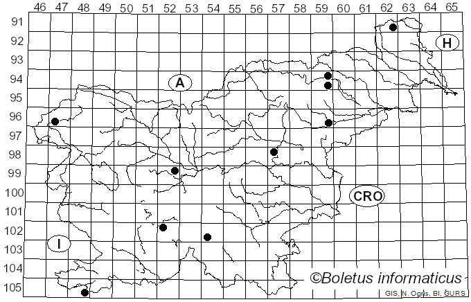 <i>Coprinopsis alopecia</i> (Lasch) La Chiusa & Boffelli (2017)