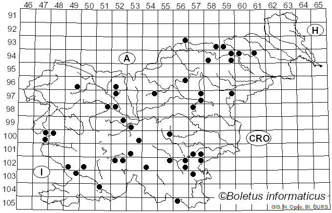 <i>Melanoleuca brevipes</i> (Bull.) Pat. (1900)