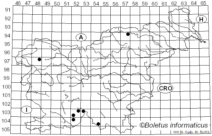 <i>Bacidia beckhausii</i> Körb. (1860)