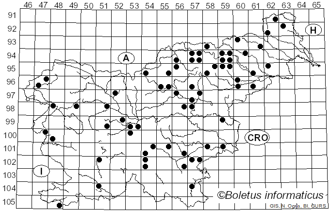 <i>Russula medullata</i> Romagn. (1997)