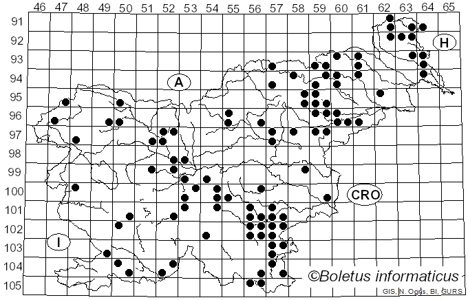 <i>Hymenopellis</i> R.H. Petersen (2010)