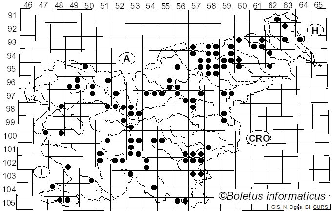 <i>Russula puellaris</i> Fr. (1838)
