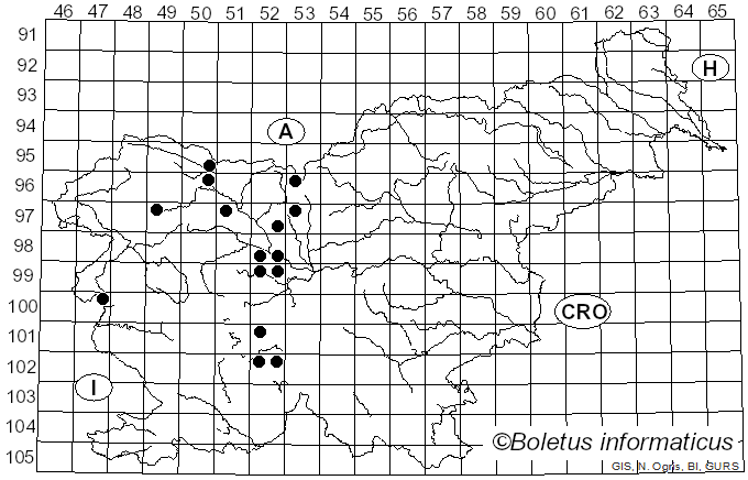 <i>Puccinia menthae</i> Pers. (1801)
