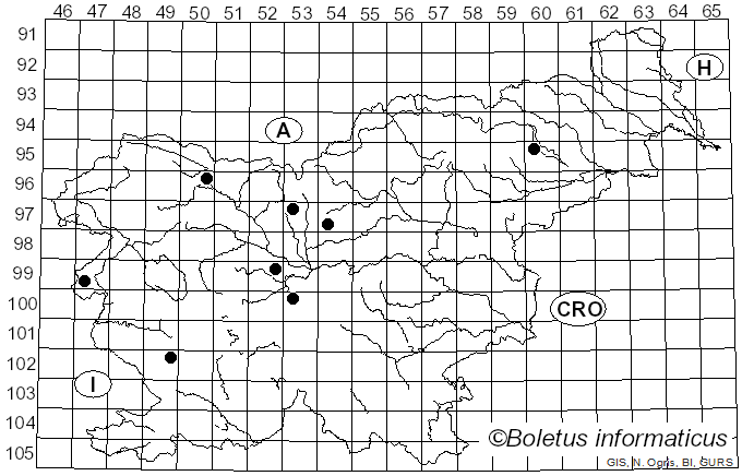 <i>Peronospora viciae</i> (Berk.) de Bary (1855)
