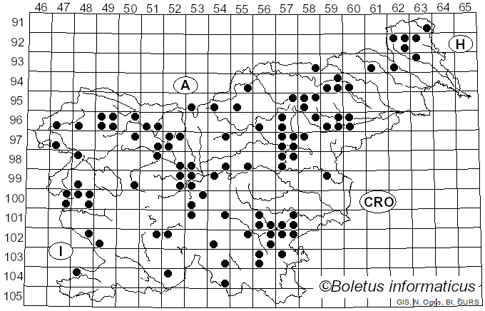 <i>Pholiota squarrosa</i> (Weigel) P. Kumm. (1871)