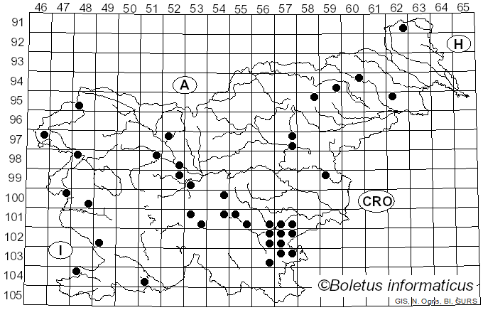 <i>Lactarius fulvissimus</i> Romagn. (1954)