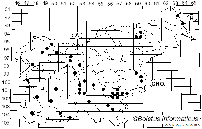 <i>Calonarius atrovirens</i> (Kalchbr.) Niskanen & Liimat. (2022)