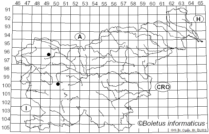 <i>Trichoderma minutisporum</i> Bissett (1992)