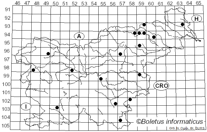 <i>Pluteus exiguus</i> (Pat.) Sacc. (1887)