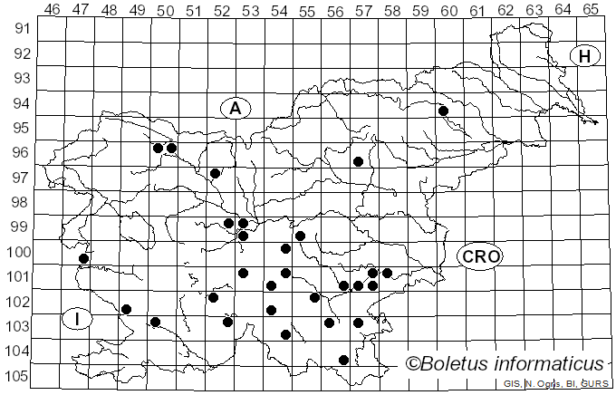 <i>Pseudoinonotus dryadeus</i> (Pers.) T. Wagner & M. Fisch. (2001)